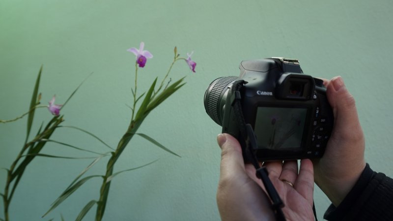 Escola de Artes com inscrições abertas para oficina de fotografia