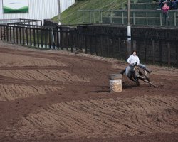 Provas foram organizadas pelo N&uacute;cleo Catarinense de Criadores do Cavalo Quarto de Milha