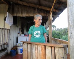 Caboclos contam histórias sobre o Monge São João Maria