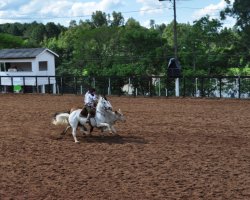 Paleteada testou habilidades dos pe&otilde;es