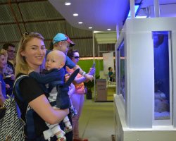 Fam&iacute;lias se divertem observando os aqu&aacute;rios