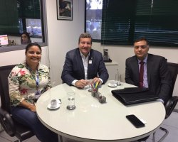 Coordenadora de Almoxarifado e Patrimônio (Coapa)