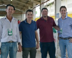 Criadores otimistas com o mercado