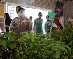 Mudas de plantas nativas estão sendo distribuídas entre os visitantes do Viveiro Florestal