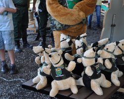  Ao todo, foram distribuídos 10 mascotes de pelúcia e 10 fantoches de dedos