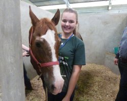 Ana Paula Siemer auxilia no pavilhão de equinos