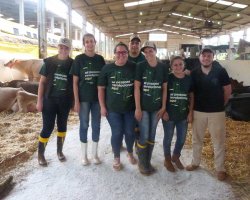 Alunos voluntários da Unochapecó estão no pavilhão de bovinos