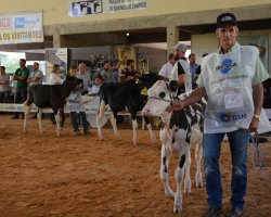 Produtores conduziram os animais para a avaliação