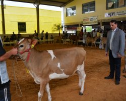 A avalia&ccedil;&atilde;o foi feita pelo renomado jurado Edson Luis Kurtz