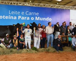 Fam&iacute;lia Dariva comemorou a conquista das tr&ecirc;s melhores vacas Holandesas em lacta&ccedil;&atilde;o e a homenagem recebida por Clair Eloy Dariva