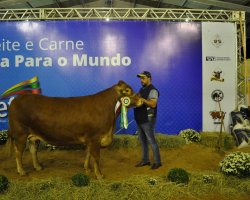 Grande campe&atilde; &eacute; de Luiz Alves