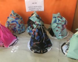 Elementos da cultura Kaingang