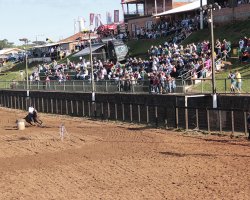 P&uacute;blico conferiu as habilidades do cavalo mais vers&aacute;til do mundo