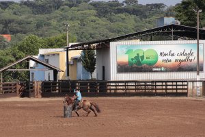 Iniciam nesta quinta-feira provas três tambores com cavalo Quarto de Milha