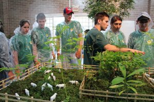 Mudas para um futuro mais ecológico