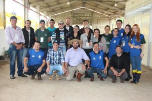 Ovinocultura em ascensão na região