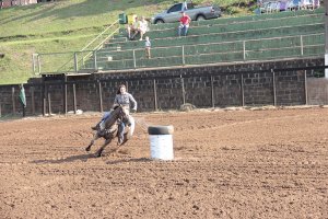 Cavalo Quarto de Milha Primeira classificatória da prova três tambores