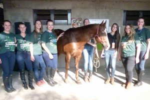 Alunos voluntários trabalham na EFAPI 2017