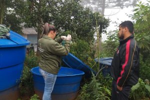 Vigil&acirc;ncia em Sa&uacute;de realiza levantamento da Dengue