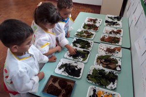 Pequenos investigadores: que bicho é esse?