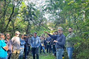 Diretoria de Meio Ambiente promove curso sobre caracteriza&ccedil;&atilde;o de vegeta&ccedil;&atilde;o da Mata Atl&acirc;ntica