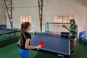 T&ecirc;nis de mesa quer repetir grandes resultados, fortalecer a forma&ccedil;&atilde;o e organizar circuito 