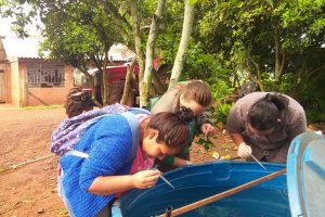 Vigil&acirc;ncia Ambiental eliminou focos da dengue no interior