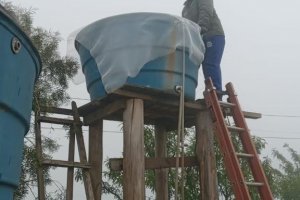 Pr&oacute;ximo mutir&atilde;o da dengue ser&aacute; no Distrito de Alto da Serra