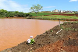 Mãos à Obra: Novo Parque de Chapecó será entregue neste sábado 