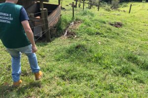 Chapec&oacute; bate recorde em processos de licenciamento ambiental