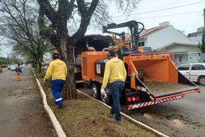 Projeto de Chapec&oacute; para combate do efeito estufa fica em terceiro no Brasil