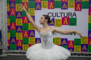 Chapecó lança o programa Cultura em Ação