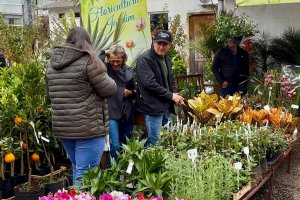 Feira de Mudas &eacute; aberta em Chapec&oacute; 