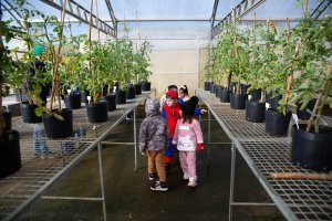 Crian&ccedil;as do CEIM Saberes da Inf&acirc;ncia visitam curso de agronomia