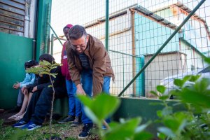Estudantes do 7º ano plantam mudas de Pau-Brasil na EBM Jardim do Lago
