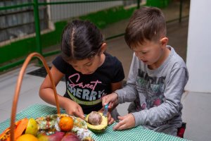 Crianças do CEIM Pequenos Heróis investigam as sementes