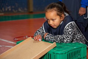 Jogos auxiliam desenvolvimento das crian&ccedil;as em aulas de Educa&ccedil;&atilde;o F&iacute;sica