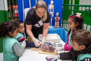 Turmas de pr&eacute;-escola do Cyrinho aprendem sobre autocuidado nas aulas de Educa&ccedil;&atilde;o F&iacute;sica