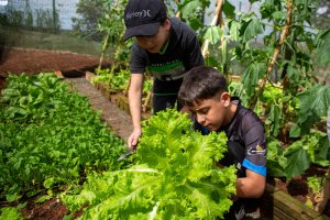 EBM Linha Campinas desenvolve projeto sobre alimenta&ccedil;&atilde;o saud&aacute;vel e cria horta junto com os alunos
