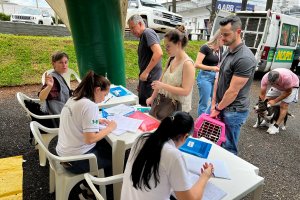 NAPA vacina cerca de 700 animais contra a raiva