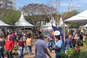 Feira no Mercado P&uacute;blico recebeu oito mil pessoas e faturou R$ 600 mil