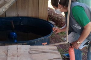 Vigilância emite alerta de dengue para universidades e escolas