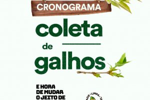 Secretaria de Infraestrutura divulga cronograma de coleta de galhos