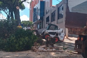 Prefeitura realiza poda de &aacute;rvores na rua Floriano Peixoto