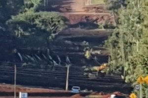 Prolongamento Sul da Avenida Get&uacute;lio Vargas come&ccedil;a a tomar forma