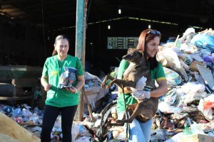 NAPA realiza busca ativa de animais para castra&ccedil;&atilde;o