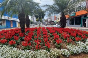 Horto Municipal embeleza 50 rotat&oacute;rias e trevos de Chapec&oacute;