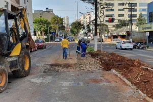 Secretaria de Infraestrutura arruma asfalto danificado por paineiras