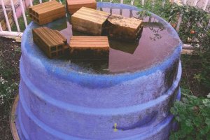 Mutir&atilde;o da Dengue elimina 2,9 mil criadouros no Bairro Universit&aacute;rio