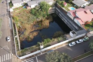 Mutir&otilde;es da dengue no Centro e S&atilde;o Crist&oacute;v&atilde;o